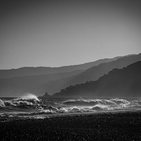Nicoletta Rivieraholiday Albenga Exteriér fotografie